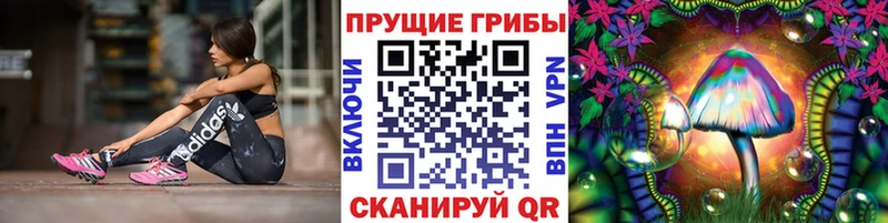 Галлюциногенные грибы GOLDEN TEACHER  Купить  Мончегорск 